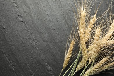 Photo of Wheat spikes on black table, flat lay. Space for text