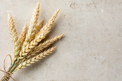 Photo of Bunch of wheat spikes on light grey table, top view. Space for text