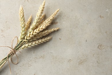 Photo of Bunch of wheat spikes on light grey table, top view. Space for text