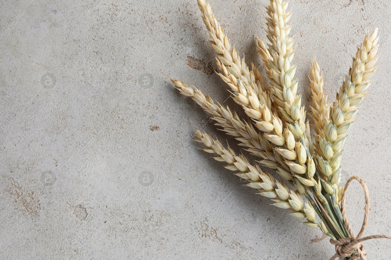 Photo of Bunch of wheat spikes on light grey table, top view. Space for text