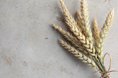 Photo of Bunch of wheat spikes on light grey table, top view. Space for text