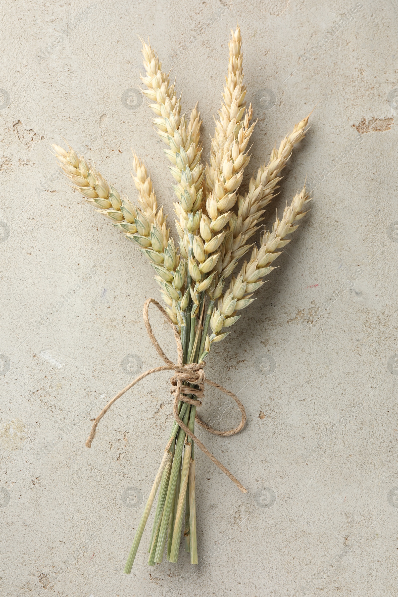 Photo of Bunch of wheat spikes on light grey table, top view