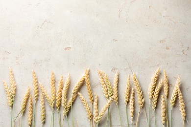 Photo of Many wheat spikes on light grey table, flat lay. Space for text