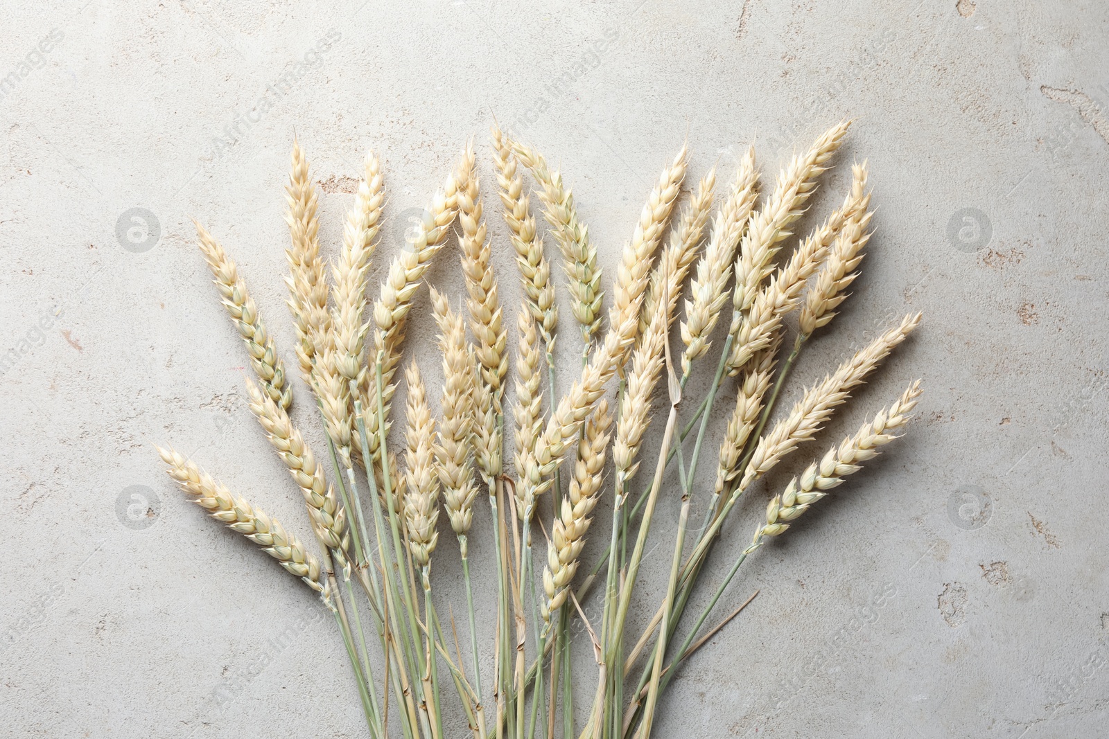 Photo of Many wheat spikes on light grey table, flat lay
