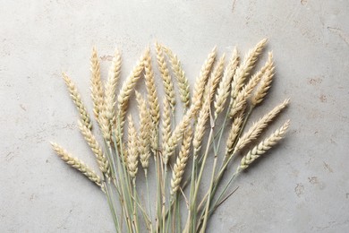 Photo of Many wheat spikes on light grey table, flat lay