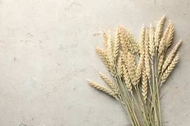 Photo of Many wheat spikes on light grey table, flat lay. Space for text