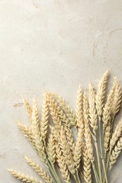 Photo of Many wheat spikes on light grey table, flat lay. Space for text