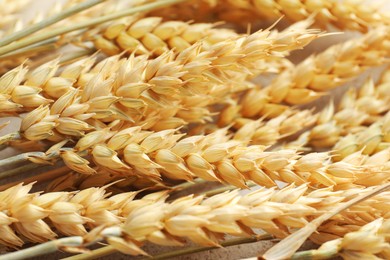 Photo of Many wheat spikes on table, closeup view