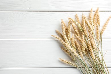 Photo of Many wheat spikes on white wooden table, flat lay. Space for text
