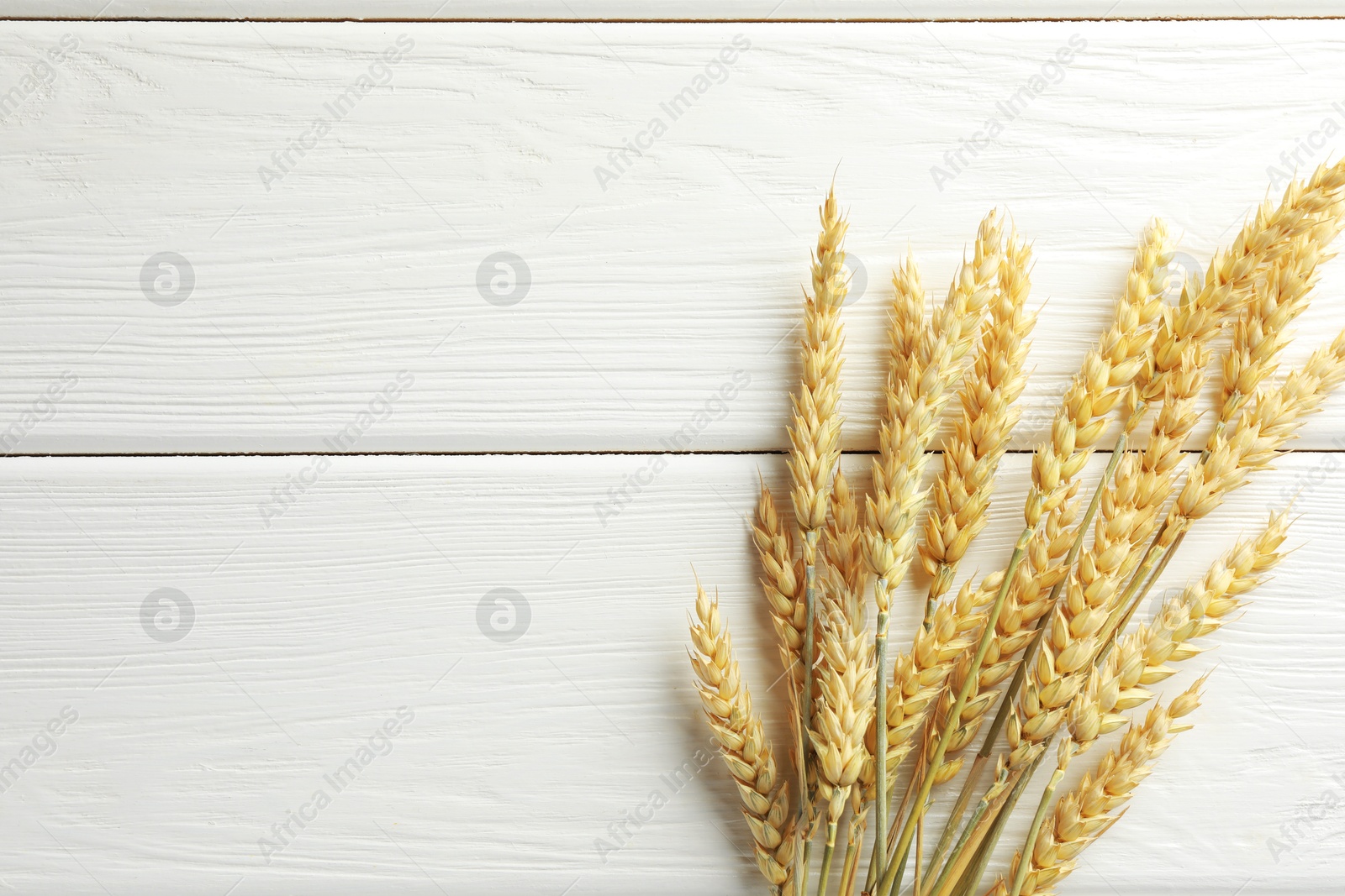 Photo of Many wheat spikes on white wooden table, flat lay. Space for text