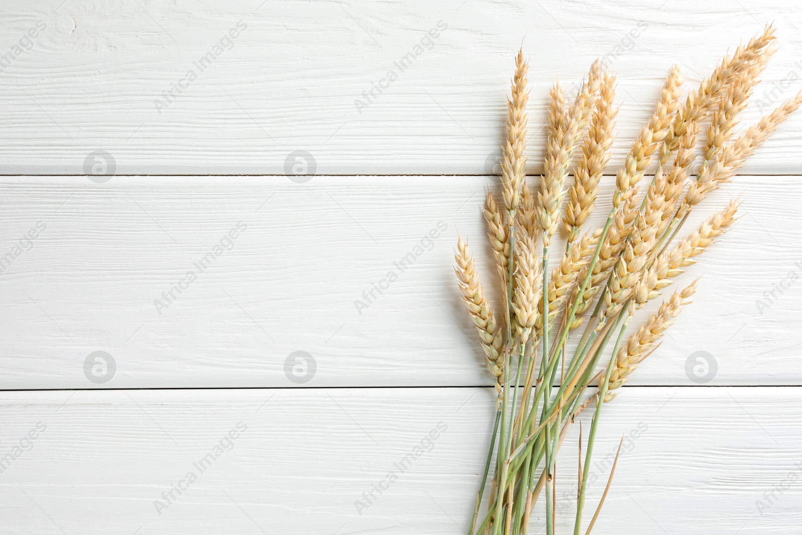 Photo of Many wheat spikes on white wooden table, flat lay. Space for text