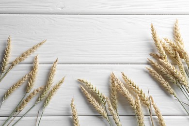 Photo of Many wheat spikes on white wooden table, flat lay. Space for text