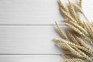 Photo of Many wheat spikes on white wooden table, flat lay. Space for text