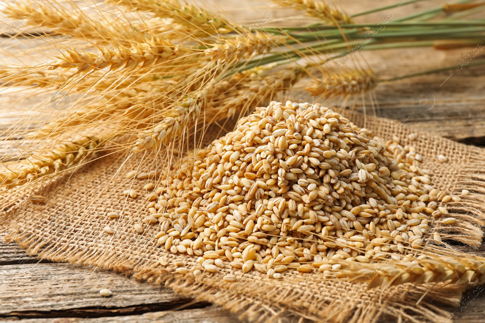 Wheat spikes and grains on wooden table, closeup Photo of Wheat spikes and grains on wooden table, closeup