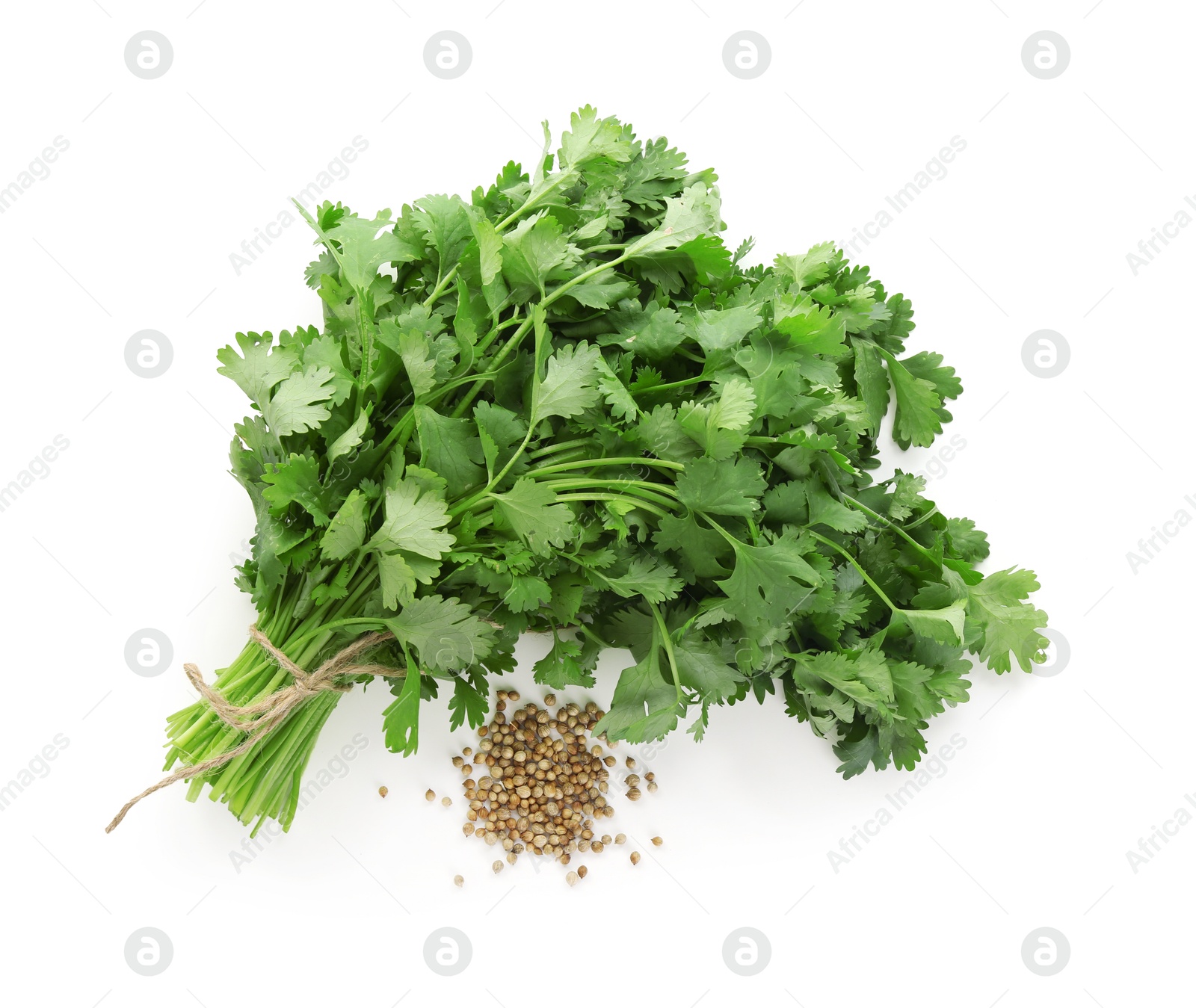 Photo of Fresh cilantro and coriander seeds isolated on white, top view