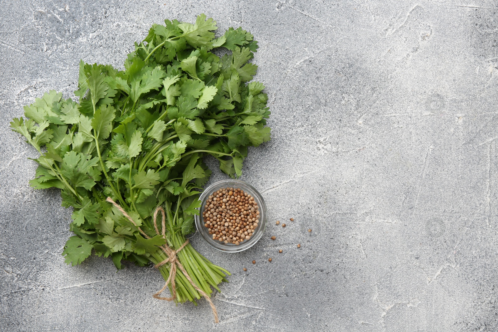 Photo of Fresh cilantro leaf and coriander seeds on grey table, top view. Space for text