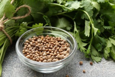 Photo of Fresh cilantro leaf and coriander seeds on grey table, closeup