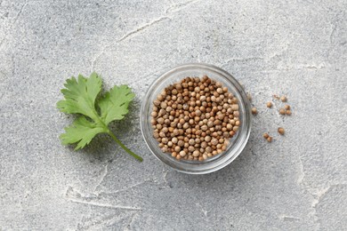 Photo of Fresh cilantro leaf and coriander seeds on grey table, flat lay