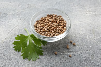Photo of Fresh cilantro leaf and coriander seeds on grey table, closeup