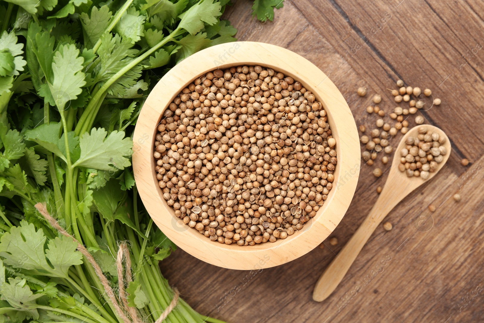 Photo of Fresh cilantro and coriander seeds on wooden table, top view