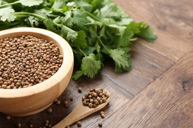 Photo of Fresh cilantro and coriander seeds on wooden table, closeup. Space for text