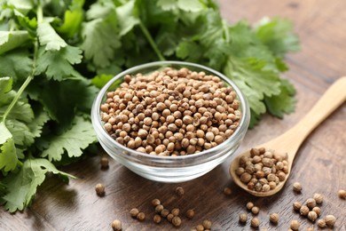 Photo of Fresh cilantro and coriander seeds on wooden table, closeup