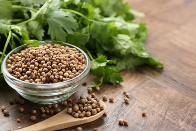 Photo of Fresh cilantro and coriander seeds on wooden table, closeup. Space for text