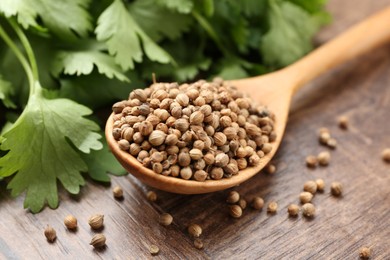 Photo of Fresh cilantro and coriander seeds on wooden table, closeup