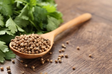Photo of Fresh cilantro and coriander seeds on wooden table, closeup. Space for text