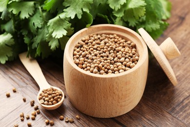 Photo of Fresh cilantro and coriander seeds on wooden table, closeup