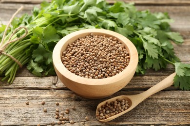 Photo of Fresh cilantro and coriander seeds on wooden table, closeup