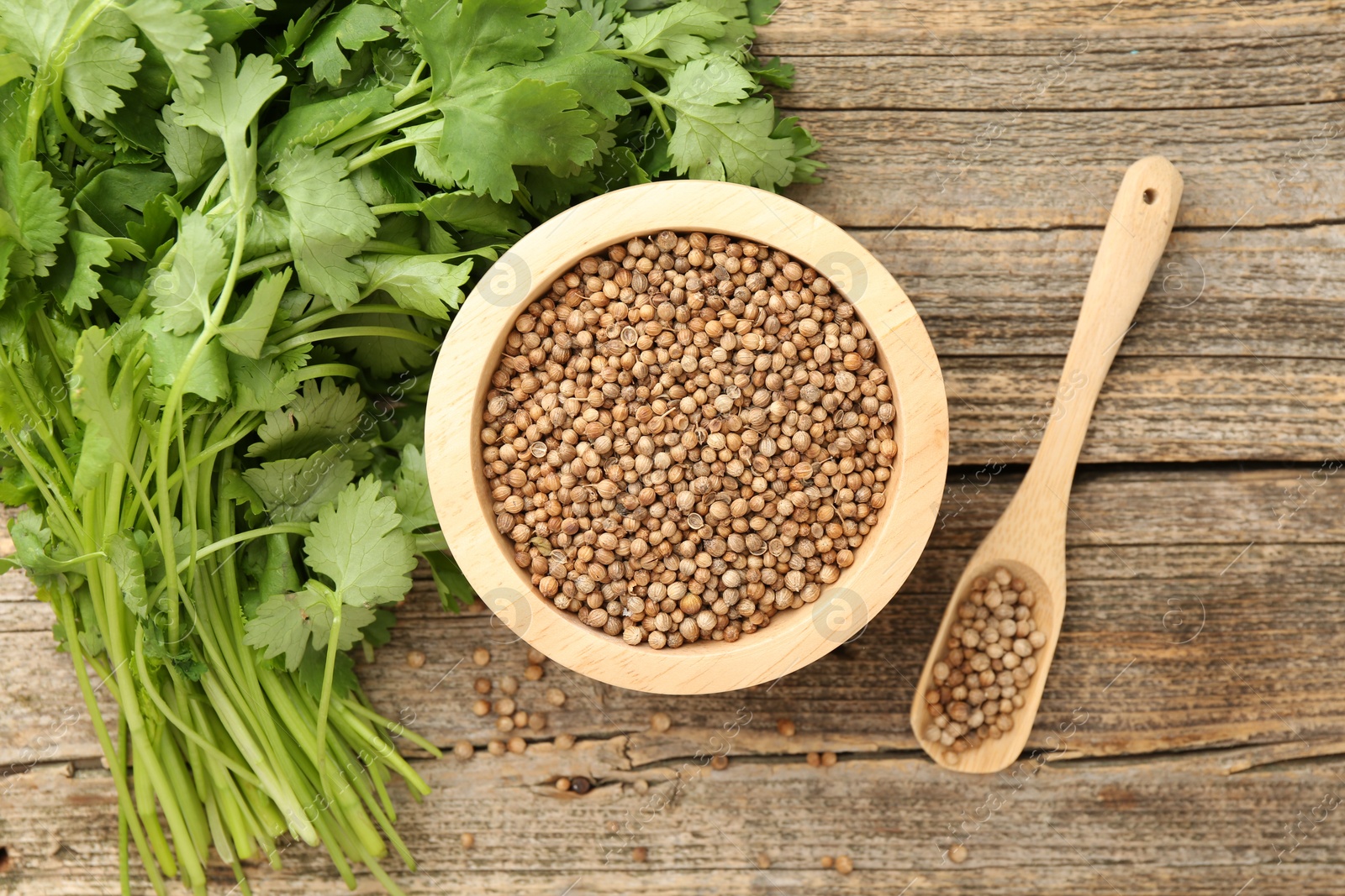 Fresh cilantro and coriander seeds on wooden table, top view Photo of Fresh cilantro and coriander seeds on wooden table, top view