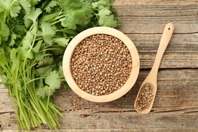 Photo of Fresh cilantro and coriander seeds on wooden table, top view