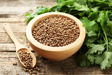 Photo of Fresh cilantro and coriander seeds on wooden table, closeup