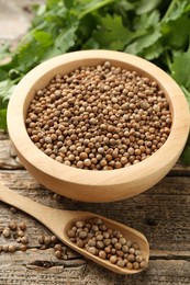 Photo of Fresh cilantro and coriander seeds on wooden table, closeup