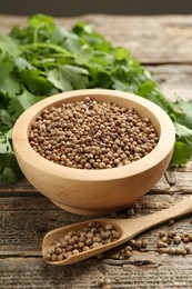 Photo of Fresh cilantro and coriander seeds on wooden table, closeup