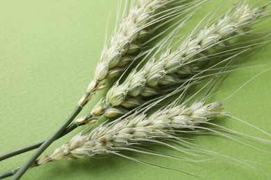 Photo of Green wheat spikes on color background, closeup