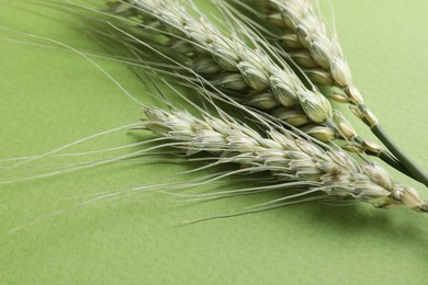 Photo of Green wheat spikes on color background, closeup