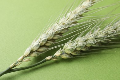 Photo of Green wheat spikes on color background, closeup