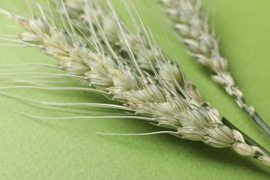 Photo of Green wheat spikes on color background, closeup