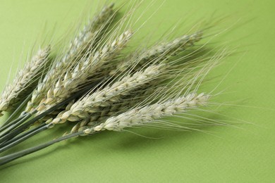 Photo of Green wheat spikes on color background, closeup