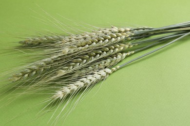 Photo of Green wheat spikes on color background, closeup
