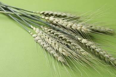 Photo of Green wheat spikes on color background, closeup