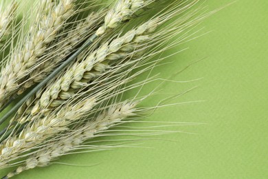Photo of Green wheat spikes on color background, closeup. Space for text