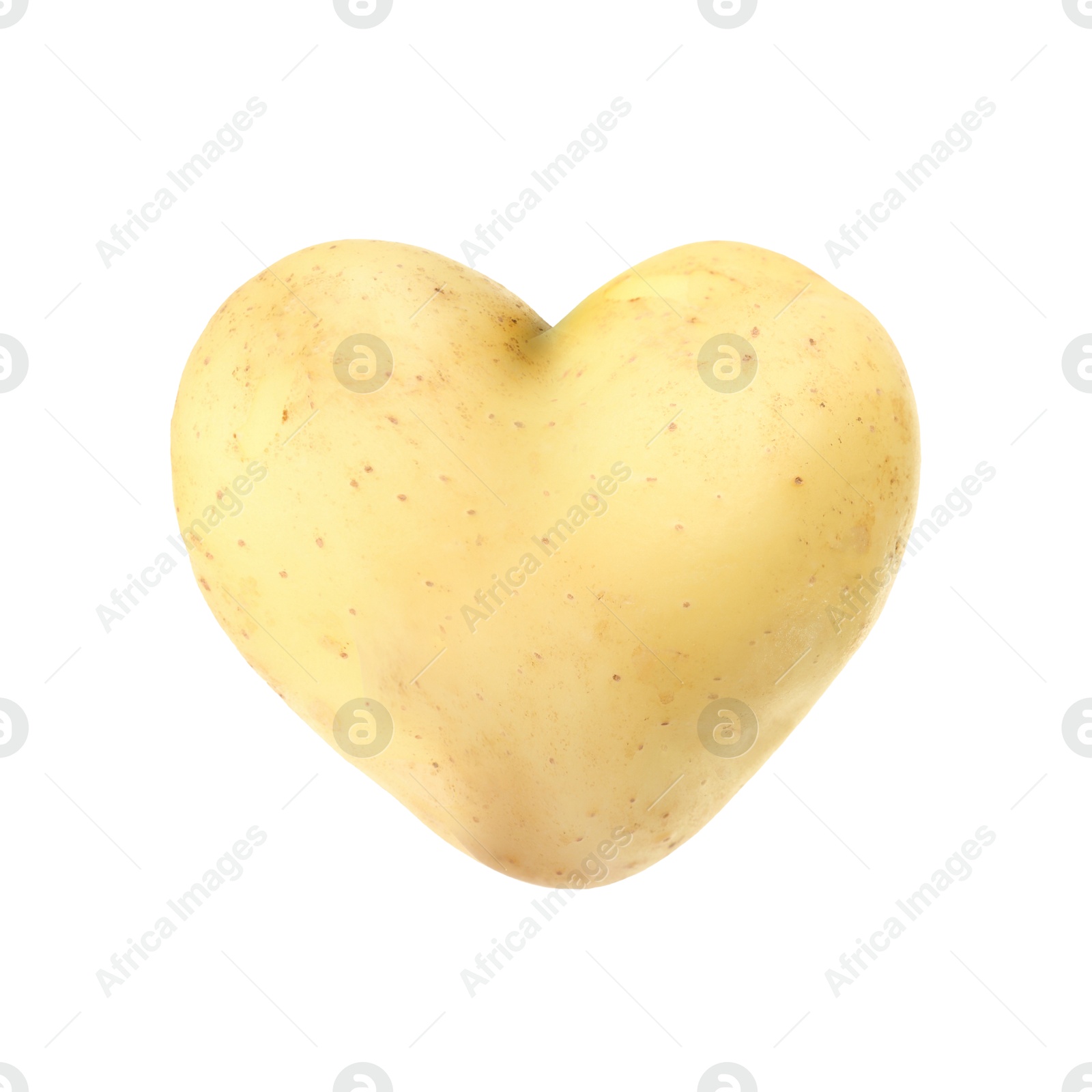 One heart shaped potato isolated on white Image of One heart shaped potato isolated on white
