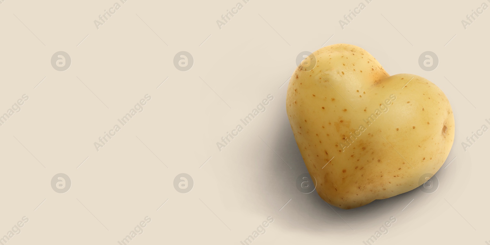 Image of Heart shaped potato on beige background. Banner design with space for text