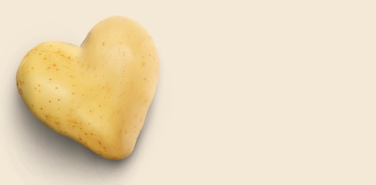 Image of Heart shaped potato on beige background, top view. Banner design with space for text