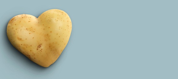 Image of Heart shaped potato on grey blue background, top view. Banner design with space for text
