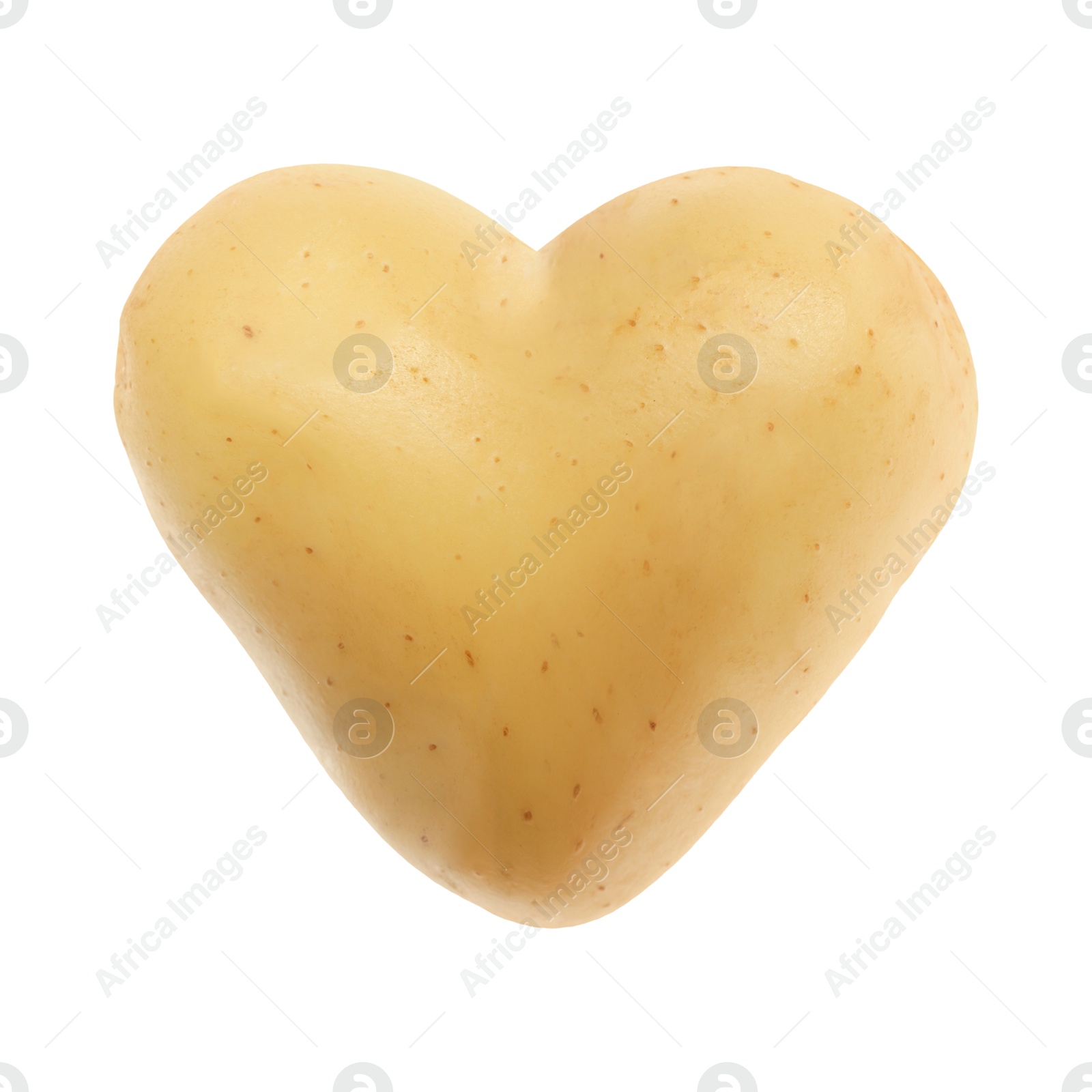One heart shaped potato isolated on white Image of One heart shaped potato isolated on white