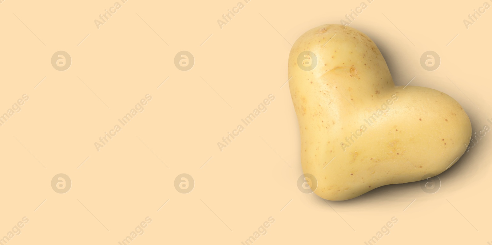 Heart shaped potato on beige background, top view. Banner design with space for text Image of Heart shaped potato on beige background, top view. Banner design with space for text